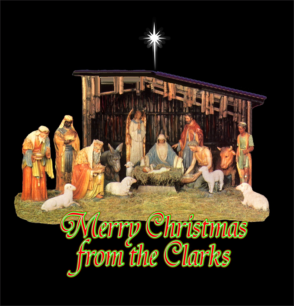 call to order 219 322 8800 christmas projection scenes